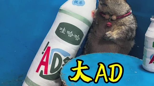 大AD钙奶，小时候的味道。