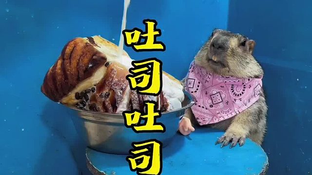 这个牛奶吐司真不错。