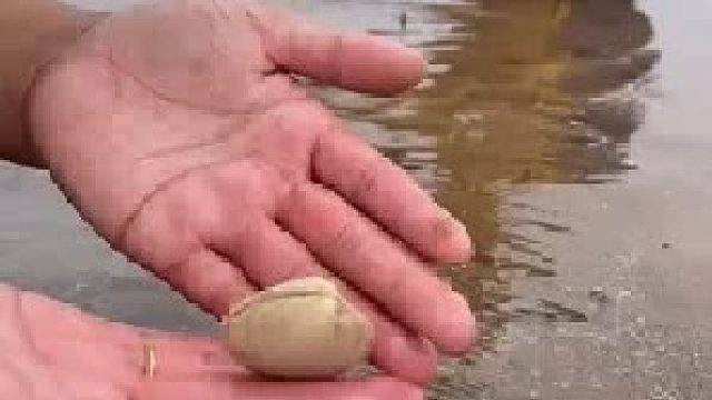 带你去体验渔民的生活