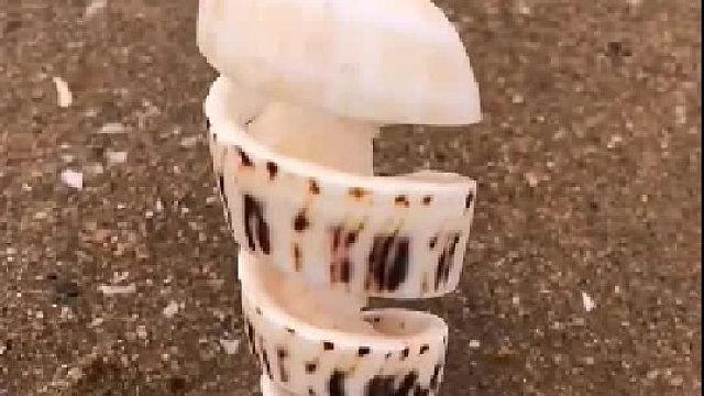 赶海赶海赶海啦