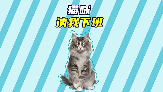 小猫演我下班，这是不是你下班的样子？
