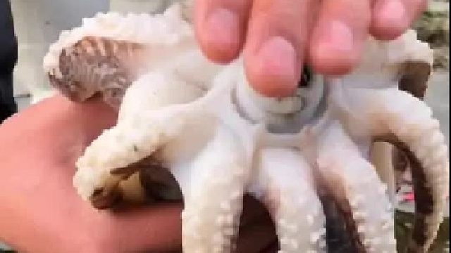 带你去体验渔民的生活