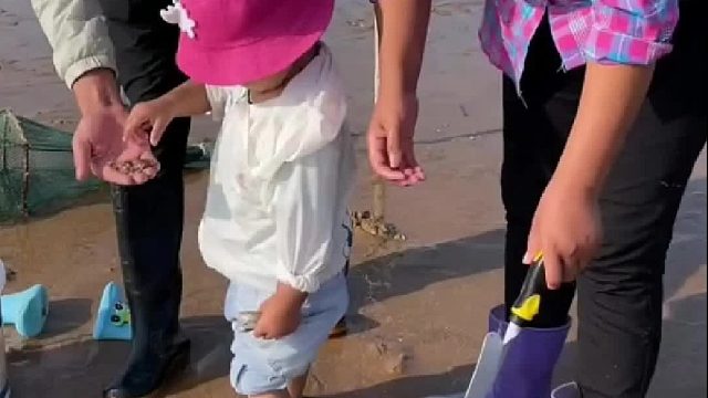 赶海赶海赶海啦