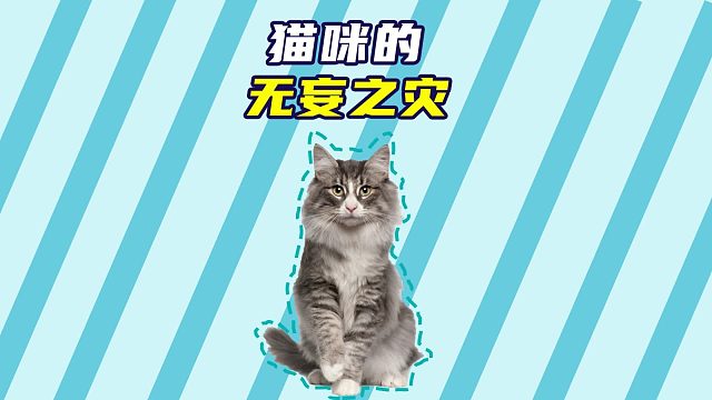 猫咪：那一瞬间我好像看到我太奶了！