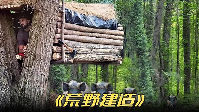 这是我见过最难评的庇护所悬在半空中形状独特