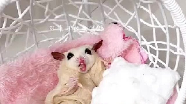 分享给可爱有趣的人来看