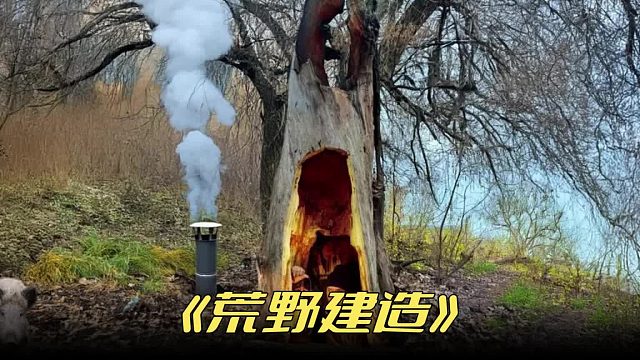 这是我见过最隐蔽的庇护所隐藏在地下两米