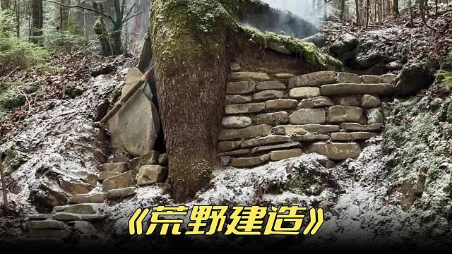 这个庇护所建立在半山腰上的百年老树下面