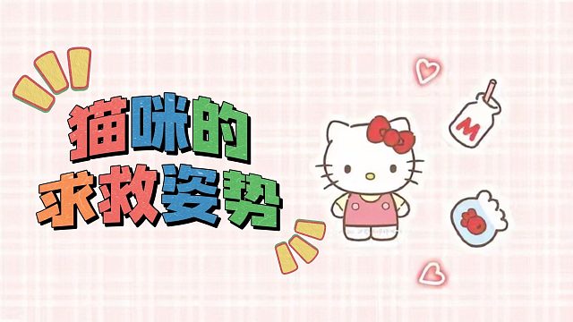 猫咪的求救姿势，不知道就要吃大亏