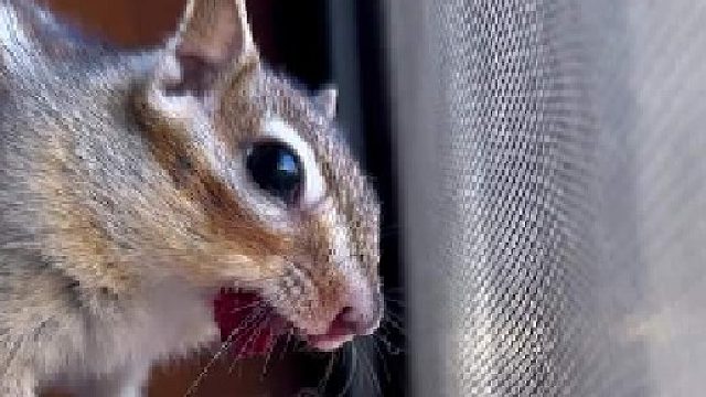 吓我一跳！太调皮了～