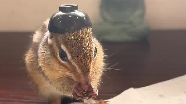 我发布了一个新视频，快来围观吧！