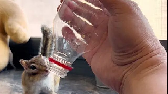 原来是这样关进去的啊