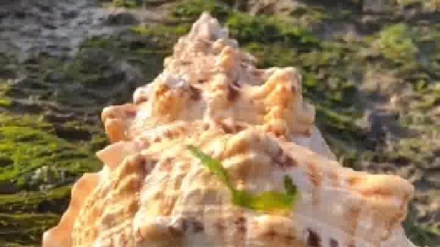 带你去体验渔民的生活