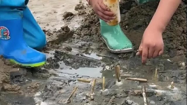 赶海赶海赶海啦