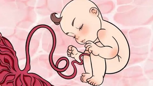 以前只记得旋律好听，现在才发现歌词更好品