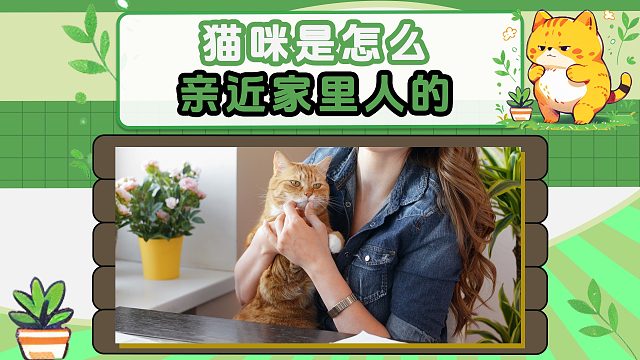 猫咪是怎么亲近家里人的，太善解人意了
