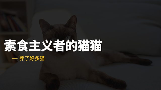 还有小猫咪，是个素食主义者！