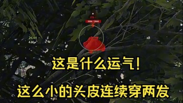 4005两发打STB头皮打穿了，这是什么运气！