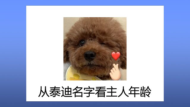 听说从泰迪的名字，可以看出主人的年龄？