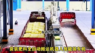袋裝肥料全自動(dòng)搬運(yùn)機(jī)器人智能裝車(chē)機(jī)