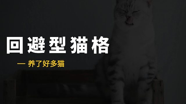 视而不见的冷暴力猫，像极了谁