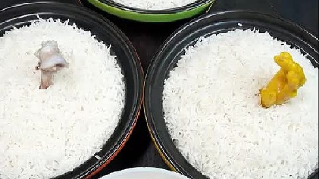 都是鸡，你们会怎么选呢？