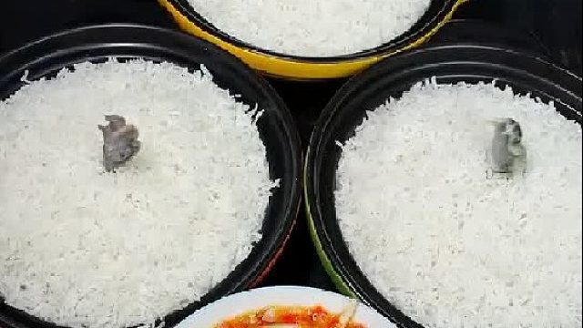 都是脚，大家都认识吗？