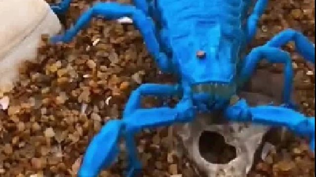 赶海赶海赶海啦