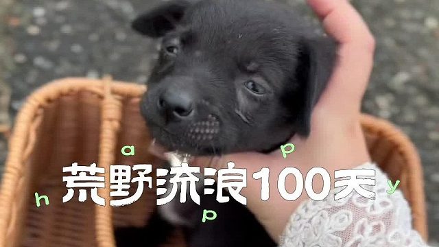 慢慢接受冬天变小的事实