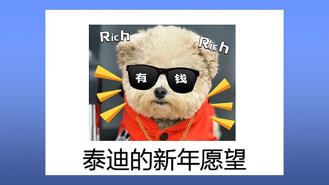 泰迪的新年愿望清单，快来帮它实现