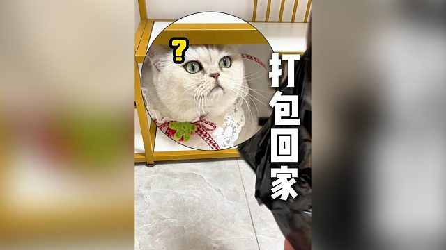 把兰兰小鱼的零食打包回家过年咯~