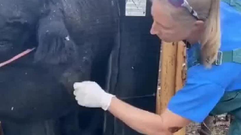 天下播客的直播