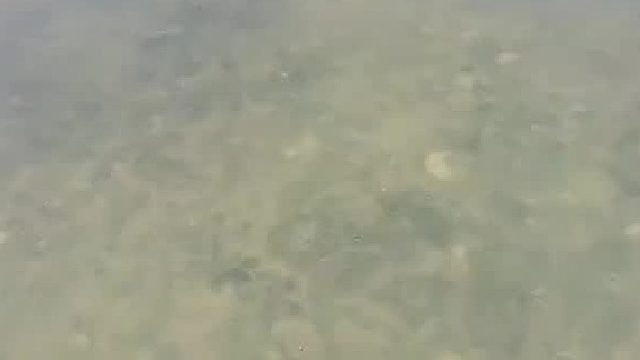 鱼里掺了水，饵料不吃，蚯蚓不吃，各位钓友有什么绝招？