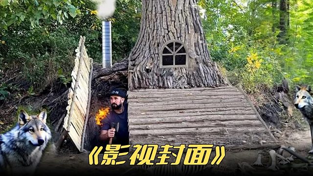 从未见过如此幸运的人在前辈的旧址上翻新自己的庇护所