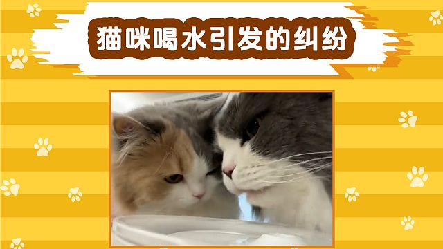 三花：快上一边吧，跟有病似地！