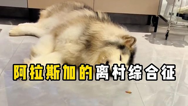 你知道吗？阿拉斯加也会得离村综合征！