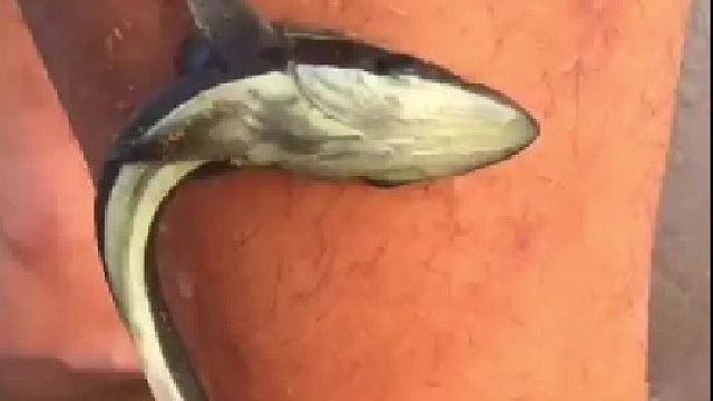 户外赶海抓海鲜