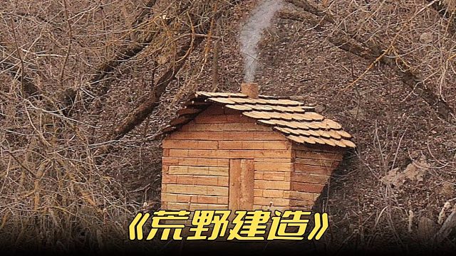 这是我见过最好的庇护所不仅有观赏性还很实用