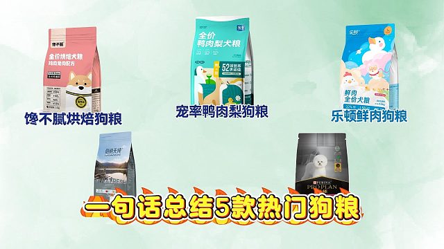 一句话总结5款热门狗粮，让你选粮不再迷茫