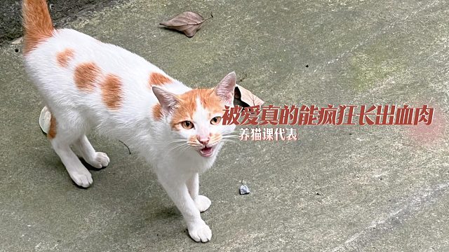 “我本活不过这个冬天，但妈妈比冬天先到”