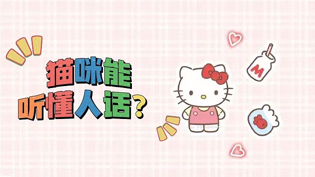 猫咪能听懂人话？我怎么不太相信
