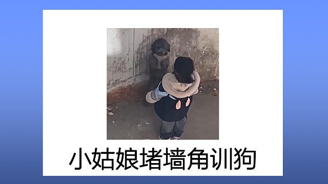 一个说不明白，一个听不明白