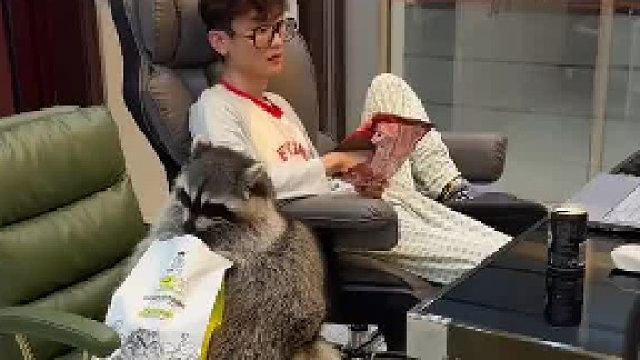 下班回来的我看到它们俩个这样惬意天都塌了”