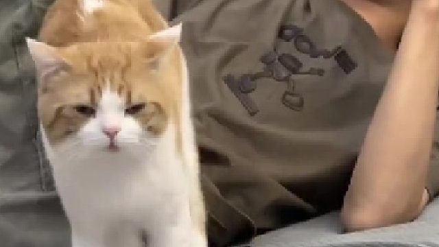 不是 这也太烧了吧