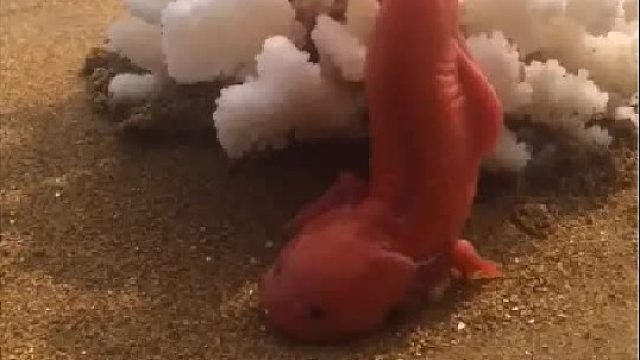 带你去体验渔民的生活