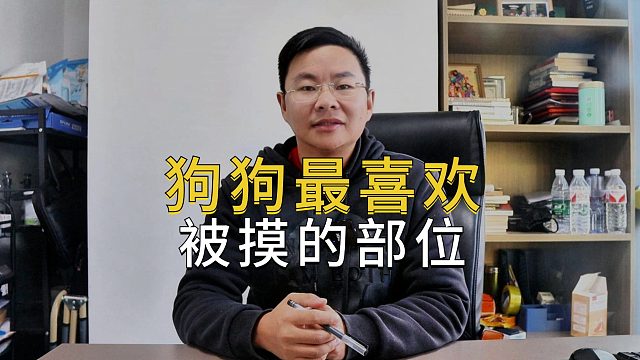 这些部位，简直就是狗狗的“快乐开关”！
