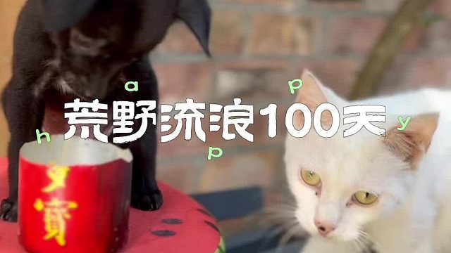 冬天带我探寻它变小的秘密