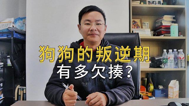 狗狗的叛逆期，到底能有多欠揍呢？