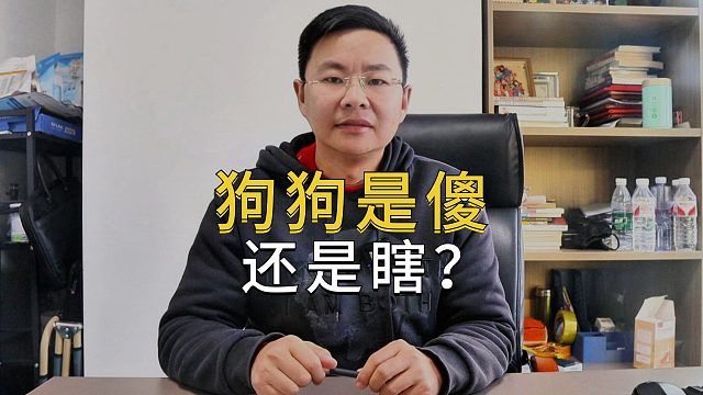 狗狗认不出你，是智力问题还是视力问题呢？