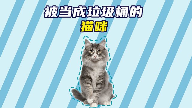 为了听点村里的八卦，猫咪变成垃圾桶了！